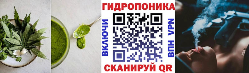 Canna-Cookies марихуана  blacksprut сайт  Карабаш  купить наркотик 