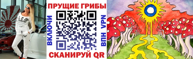 Галлюциногенные грибы Cubensis  наркотики  Карабаш 